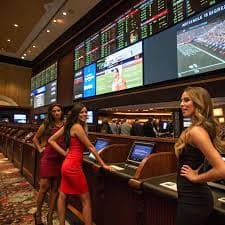 8857 bet
